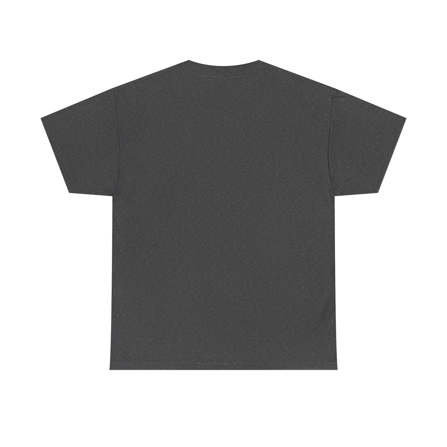 Funny Panda Graphic Tee – "I Need Money, Not a Job" Shirt