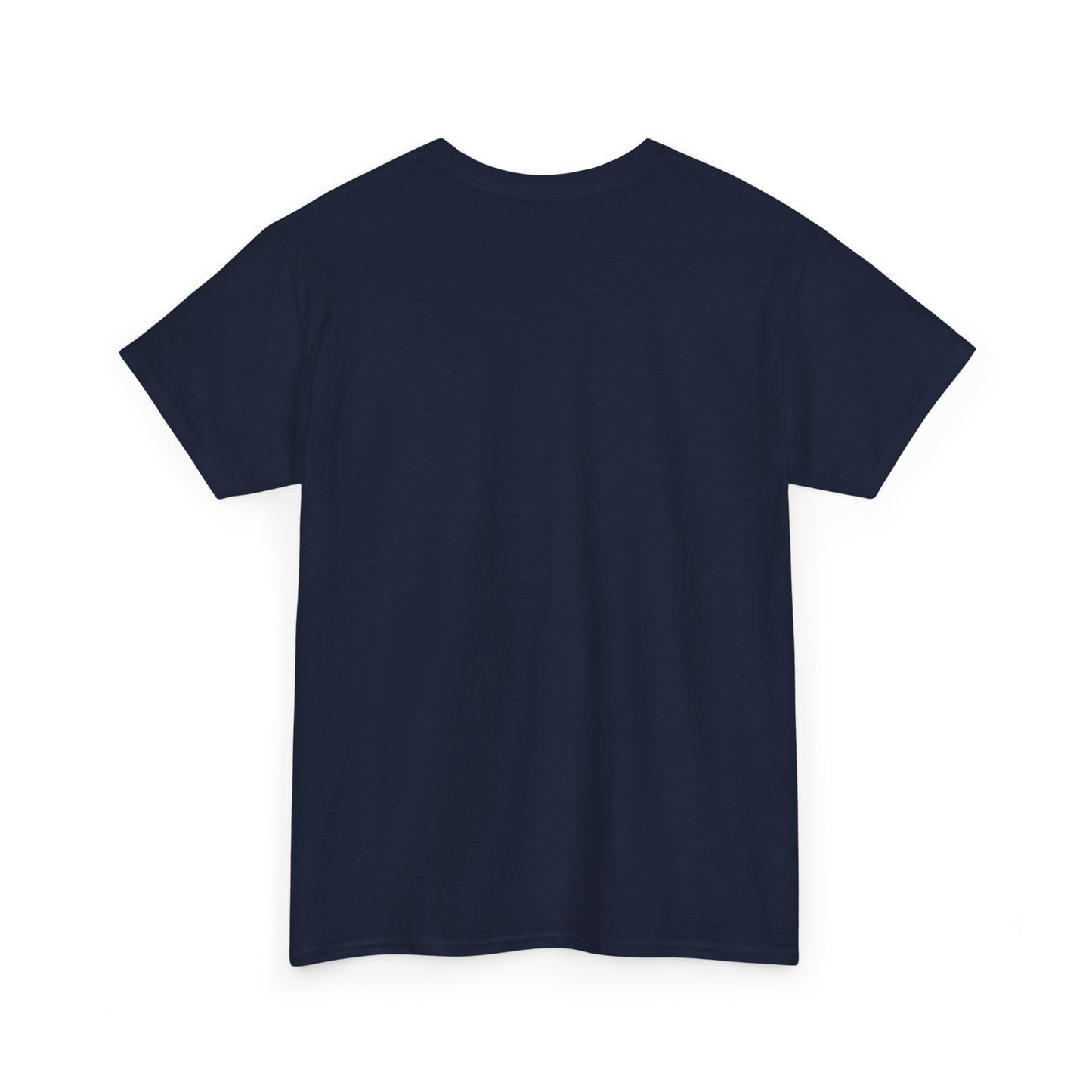 Funny Panda Graphic Tee – "I Need Money, Not a Job" Shirt