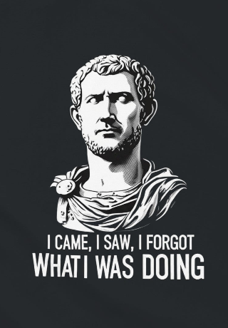 I Came, I saw, I forgot What I was Doing - Funny Men's Graphic Tees - Up to 5XL